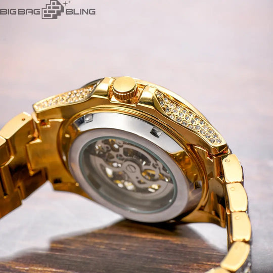 Iced Out Fully automatic machinery Watch BigBagBling