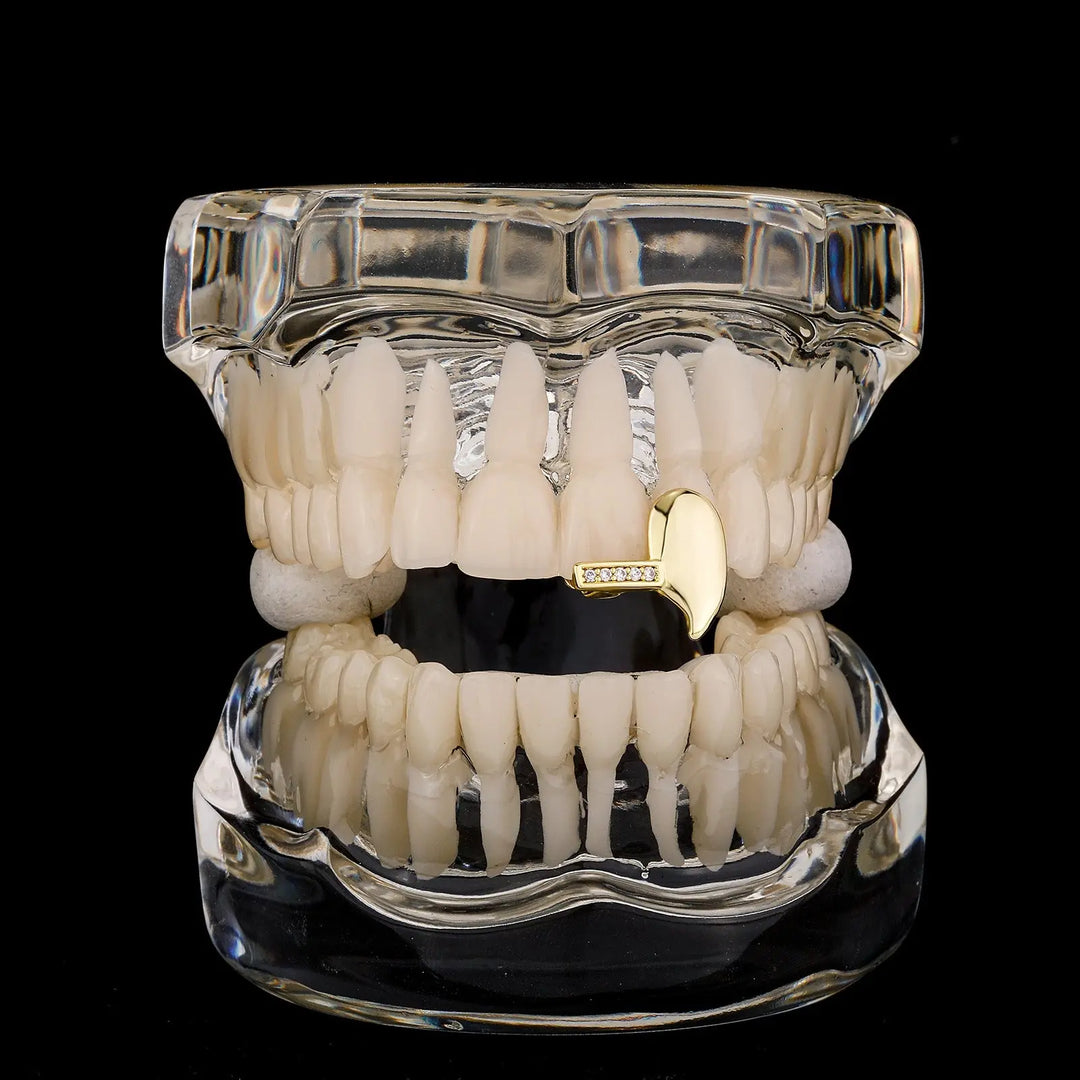 Iced Out Single sharp tooth Grillz BigBagBling